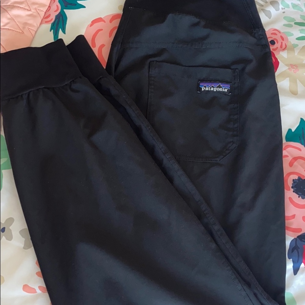 Patagonia dri fit joggers